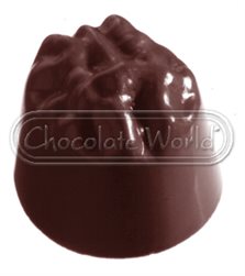 Enrobed chocolates Praline mould CW1034