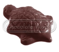 Seafruit Turtle-Fishes Praline mould CW1170
