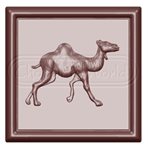 Caraques Camel Praline mould CW1684