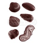 Seafruit Praline mould CW1586