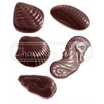 Seafruit Praline mould CW2373